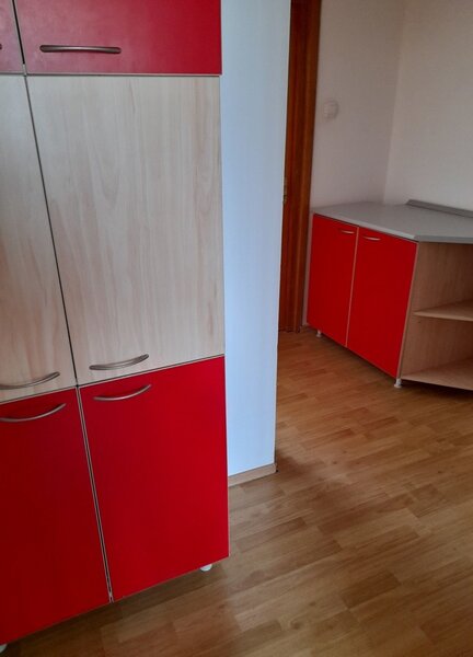 Teiul Doamnei x Colentina aproape de sectia 7 politie